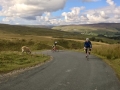 Wensleydale20