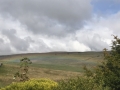Wensleydale8